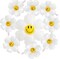 10PCS Daisy Balloons with Smile Face Groovy Party Decorations Boho White Flower Balloon